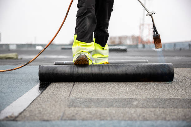 Best Roof Coating and Sealing  in Parkston, SD